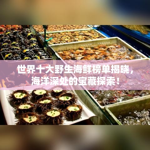世界十大野生海鲜榜单揭晓，海洋深处的宝藏探索！
