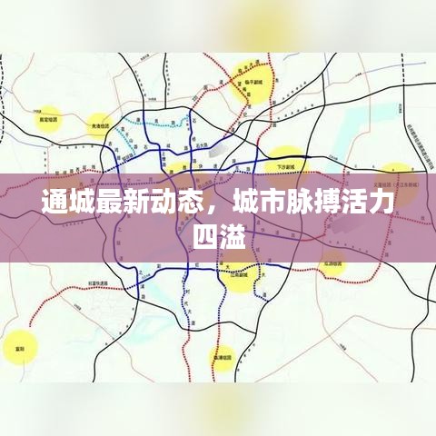 通城最新动态，城市脉搏活力四溢