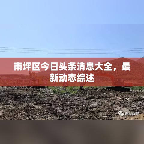 南坪区今日头条消息大全，最新动态综述