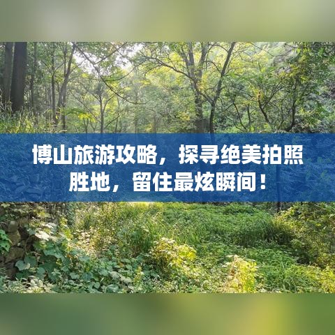 博山旅游攻略，探寻绝美拍照胜地，留住最炫瞬间！