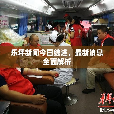 乐坪新闻今日综述，最新消息全面解析