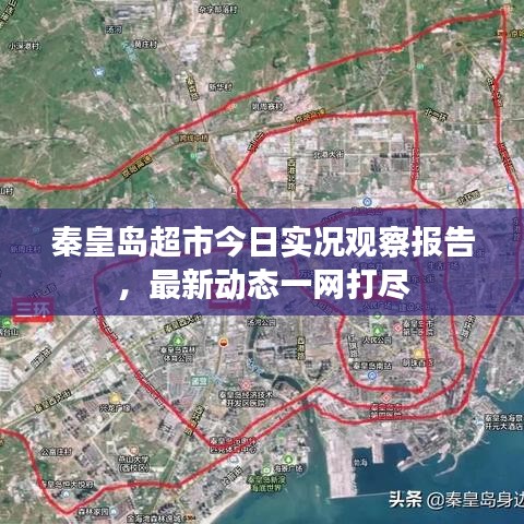 秦皇岛超市今日实况观察报告，最新动态一网打尽