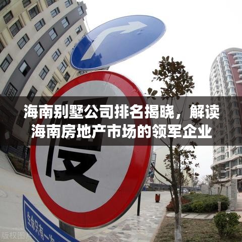 海南别墅公司排名揭晓，解读海南房地产市场的领军企业