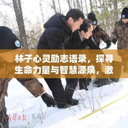 林子心灵励志语录，探寻生命力量与智慧源泉，激励你我前行！