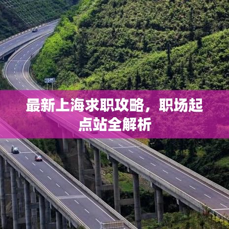 最新上海求职攻略，职场起点站全解析