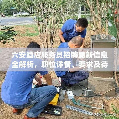 六安酒店服务员招聘最新信息全解析，职位详情、要求及待遇一网打尽