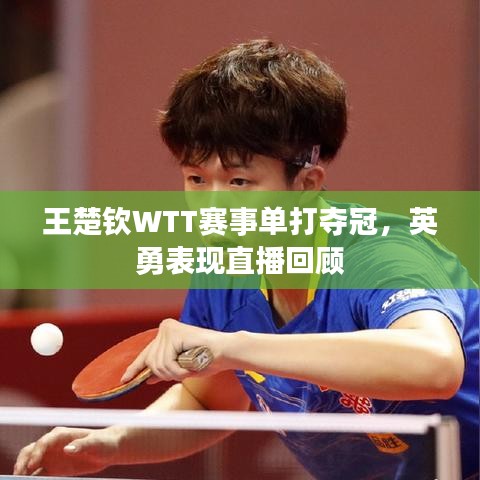 王楚钦WTT赛事单打夺冠，英勇表现直播回顾