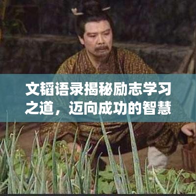 文韬语录揭秘励志学习之道，迈向成功的智慧之路