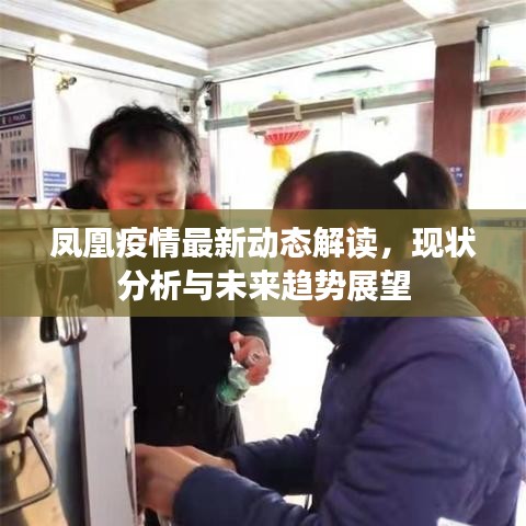 凤凰疫情最新动态解读，现状分析与未来趋势展望