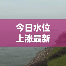 今日水位上涨最新动态，原因揭秘与应对策略