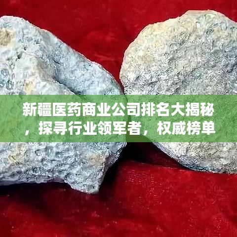 新疆医药商业公司排名大揭秘，探寻行业领军者，权威榜单不容错过！