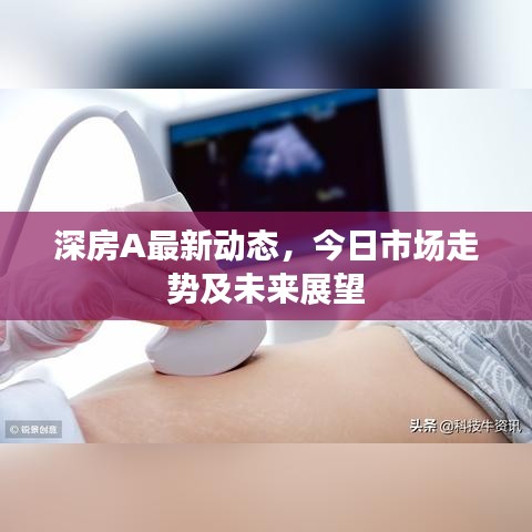 深房A最新动态，今日市场走势及未来展望