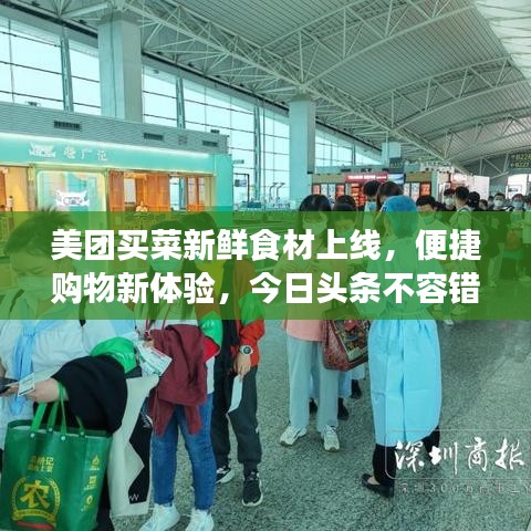 美团买菜新鲜食材上线，便捷购物新体验，今日头条不容错过！