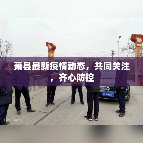 萧县最新疫情动态，共同关注，齐心防控