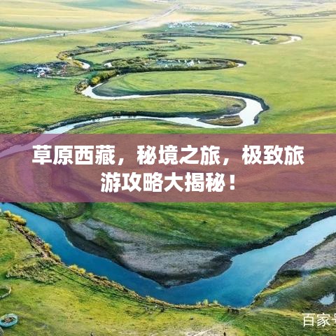 草原西藏，秘境之旅，极致旅游攻略大揭秘！