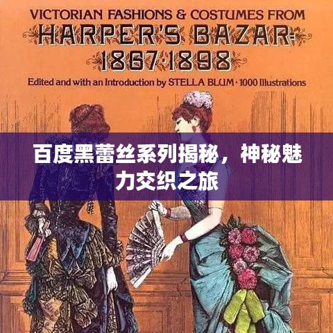百度黑蕾丝系列揭秘，神秘魅力交织之旅