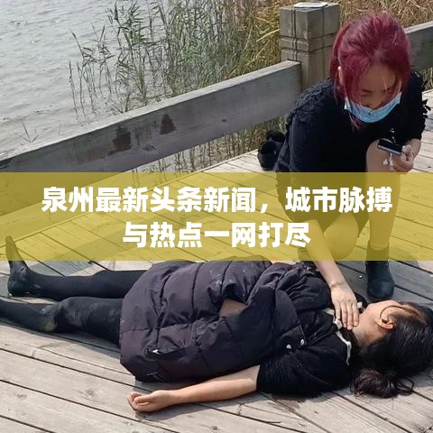 泉州最新头条新闻，城市脉搏与热点一网打尽