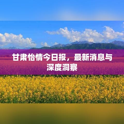 甘肃怡情今日报，最新消息与深度洞察
