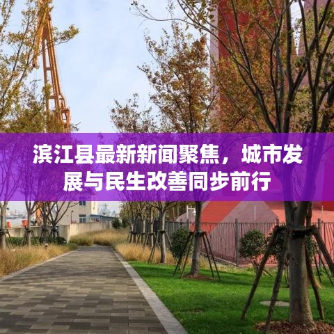 滨江县最新新闻聚焦，城市发展与民生改善同步前行