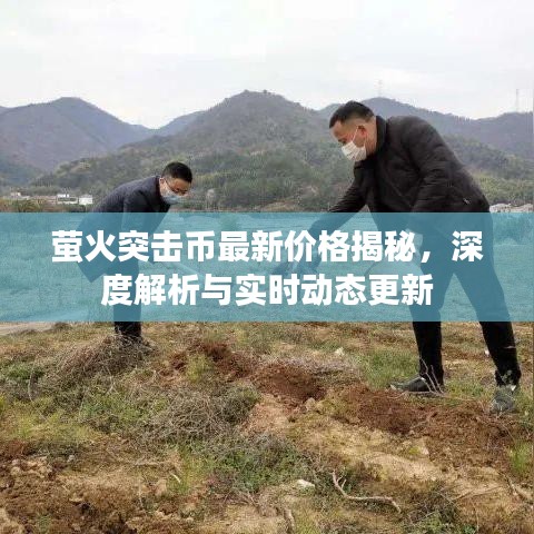 萤火突击币最新价格揭秘，深度解析与实时动态更新