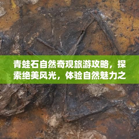 青蛙石自然奇观旅游攻略，探索绝美风光，体验自然魅力之旅