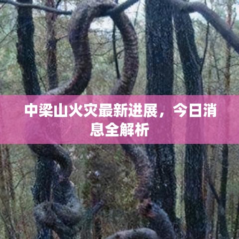 中梁山火灾最新进展，今日消息全解析