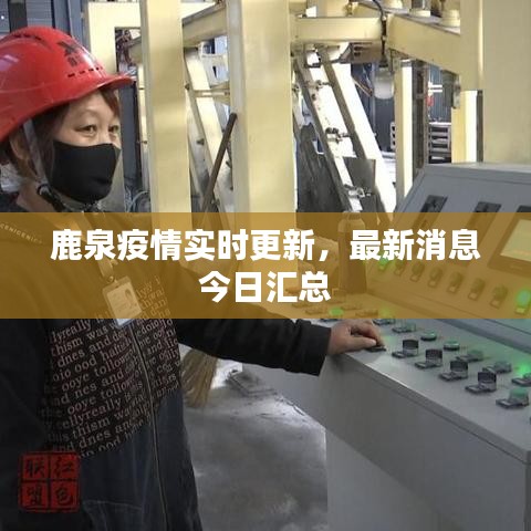 鹿泉疫情实时更新，最新消息今日汇总
