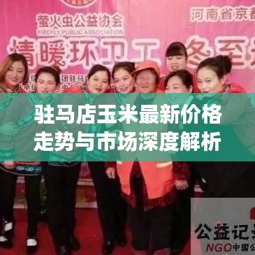 驻马店玉米最新价格走势与市场深度解析