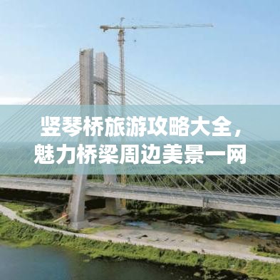 竖琴桥旅游攻略大全，魅力桥梁周边美景一网打尽，实用建议助你畅游！