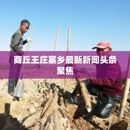 商丘王庄寨乡最新新闻头条聚焦