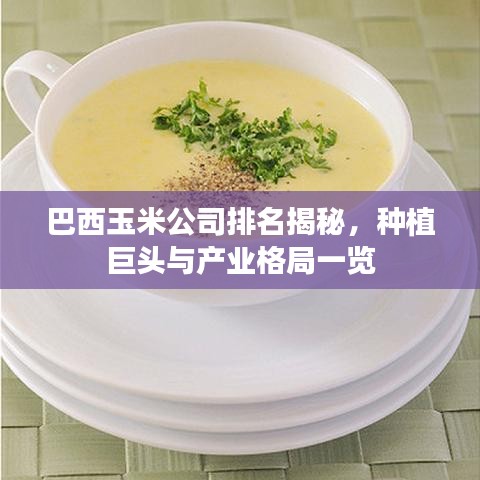 巴西玉米公司排名揭秘，种植巨头与产业格局一览