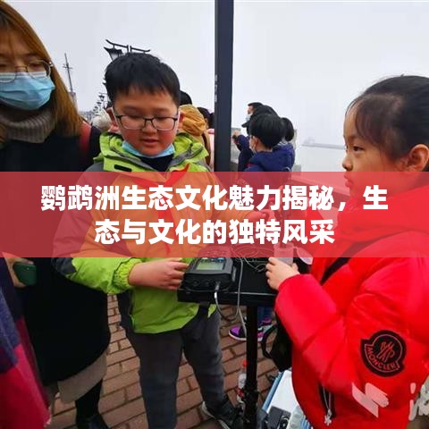 鹦鹉洲生态文化魅力揭秘，生态与文化的独特风采