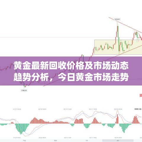 黄金最新回收价格及市场动态趋势分析，今日黄金市场走势报告