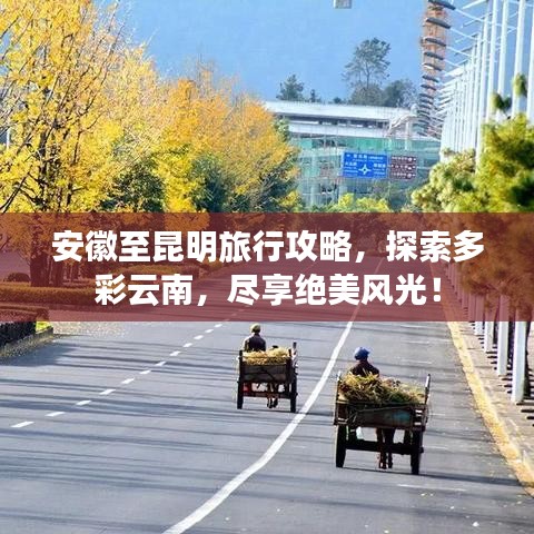 2025年5月27日 第42页