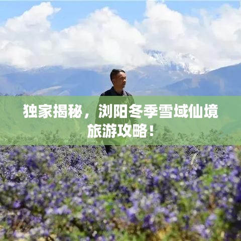 独家揭秘，浏阳冬季雪域仙境旅游攻略！