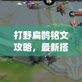 打野扁鹊铭文攻略，最新搭配，助力战场无敌！