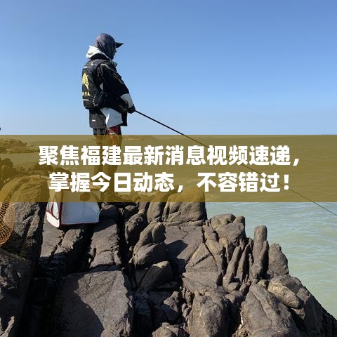 聚焦福建最新消息视频速递，掌握今日动态，不容错过！