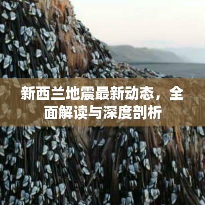 新西兰地震最新动态，全面解读与深度剖析