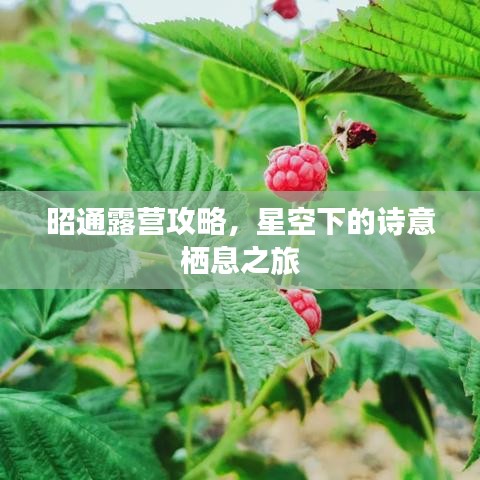 昭通露营攻略，星空下的诗意栖息之旅