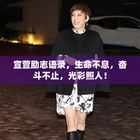 宣萱励志语录，生命不息，奋斗不止，光彩照人！