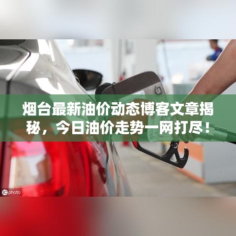 烟台最新油价动态博客文章揭秘，今日油价走势一网打尽！