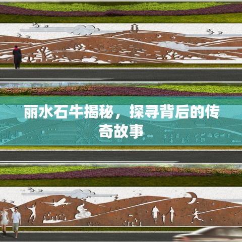 丽水石牛揭秘，探寻背后的传奇故事