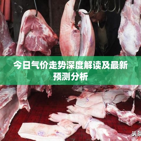 今日气价走势深度解读及最新预测分析