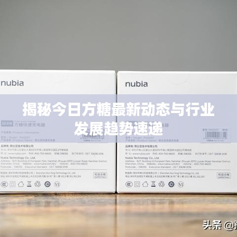 揭秘今日方糖最新动态与行业发展趋势速递