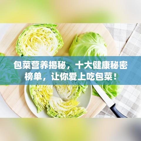 包菜营养揭秘，十大健康秘密榜单，让你爱上吃包菜！