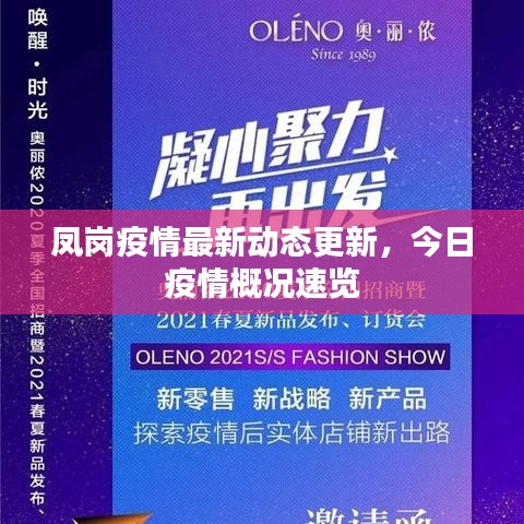 凤岗疫情最新动态更新，今日疫情概况速览