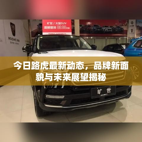 今日路虎最新动态，品牌新面貌与未来展望揭秘
