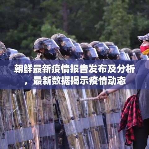 朝鲜最新疫情报告发布及分析，最新数据揭示疫情动态