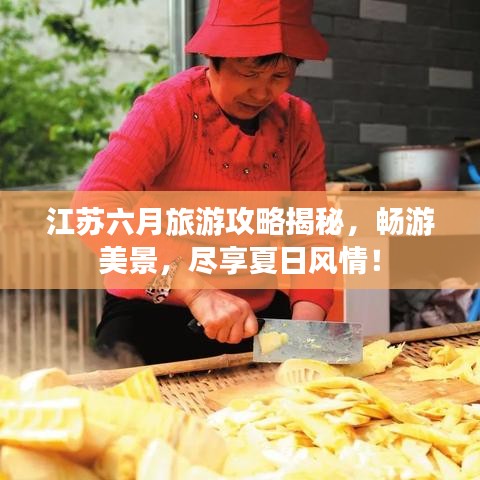 江苏六月旅游攻略揭秘，畅游美景，尽享夏日风情！