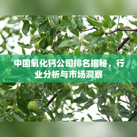 中国氧化钙公司排名揭秘，行业分析与市场洞察
